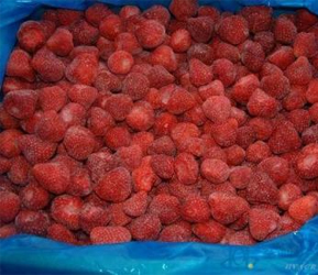 常州草莓冷库价格